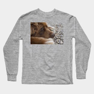 newfoundland brown laying flat Long Sleeve T-Shirt